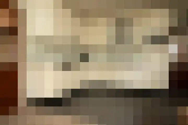 Leeuwerik 13 Genemuiden thumbnail 16