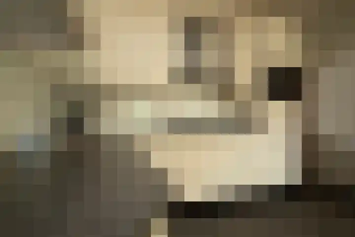 Leeuwerik 13 Genemuiden thumbnail 17