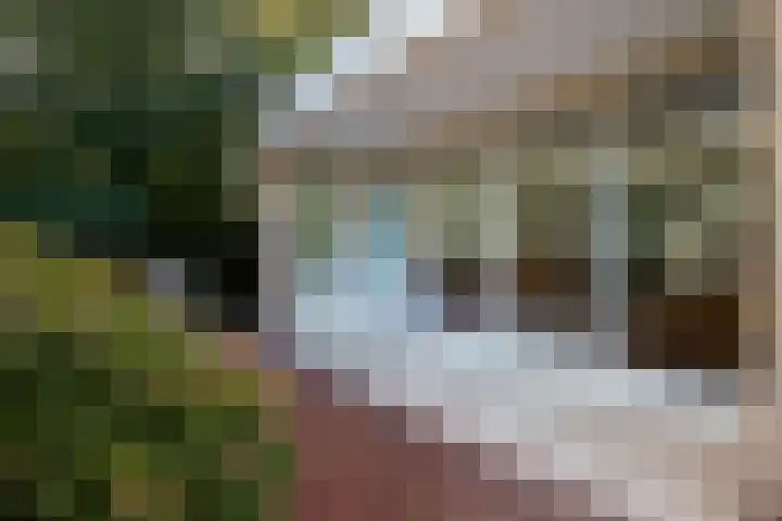 Leeuwerik 13 Genemuiden thumbnail 34