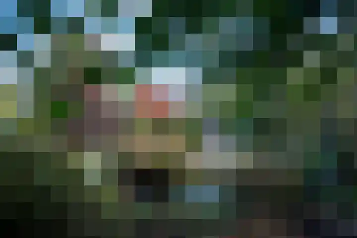 Leeuwerik 13 Genemuiden thumbnail 35
