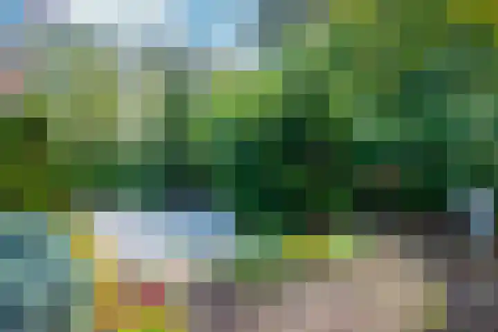Leeuwerik 13 Genemuiden thumbnail 37