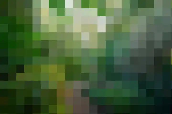 Leeuwerik 13 Genemuiden thumbnail 39