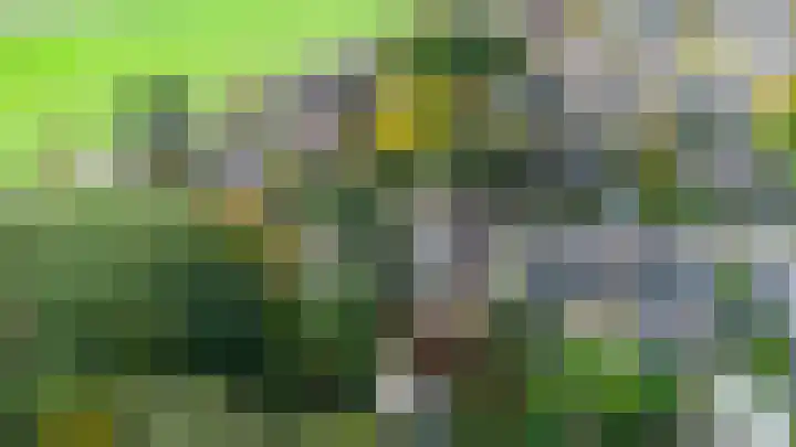 Leeuwerik 13 Genemuiden thumbnail 45