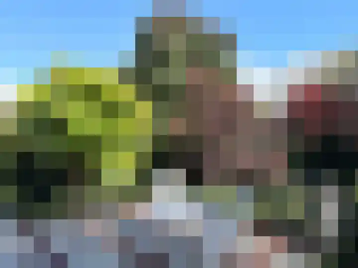 Leeuwerik 13 Genemuiden thumbnail 47