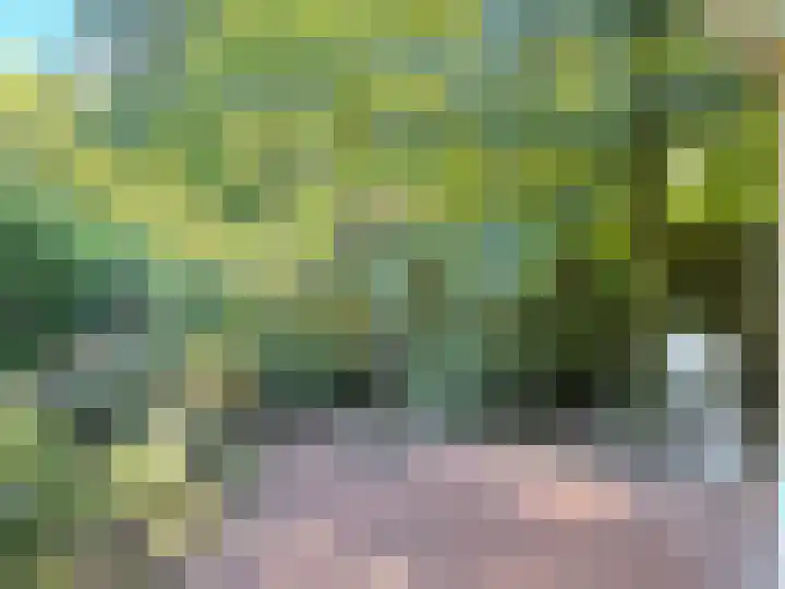 Leeuwerik 13 Genemuiden thumbnail 48