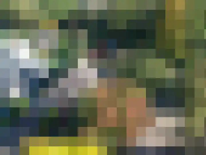 Leeuwerik 13 Genemuiden thumbnail 5