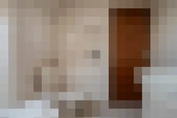 Leeuwerik 13 Genemuiden thumbnail 57