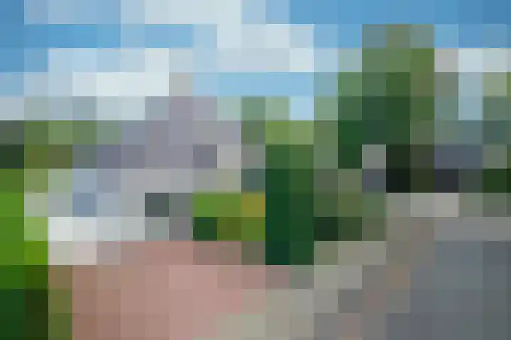 Leeuwerik 13 Genemuiden thumbnail 9