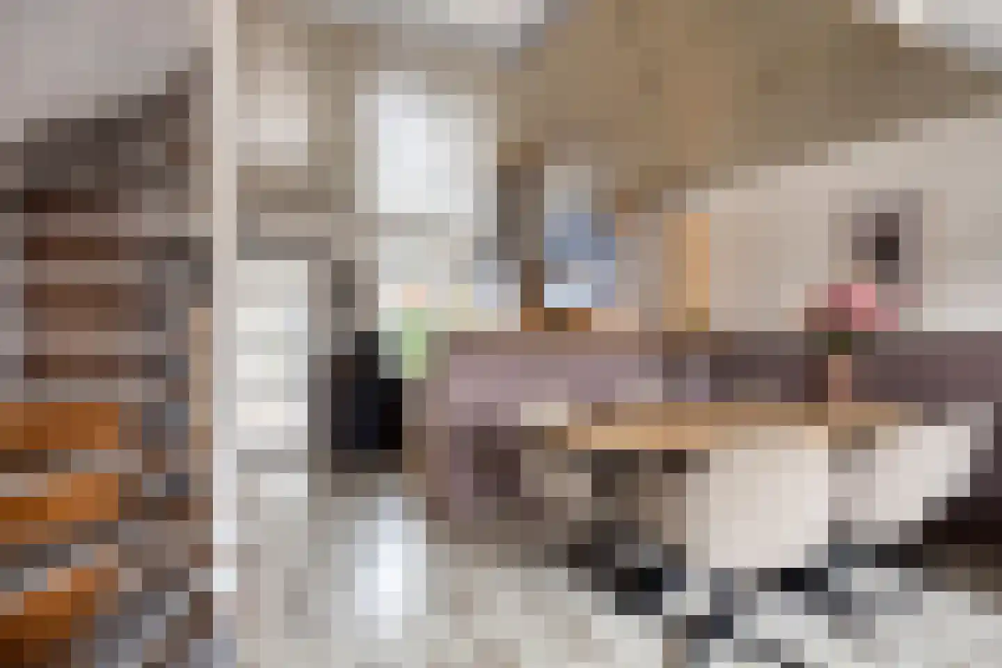 Leeuwerik 14 Venhuizen thumbnail 10