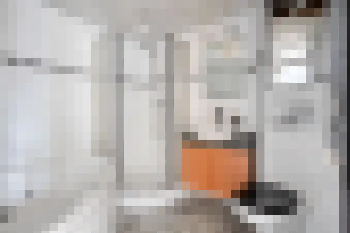 Leeuwerik 14 Venhuizen thumbnail 18