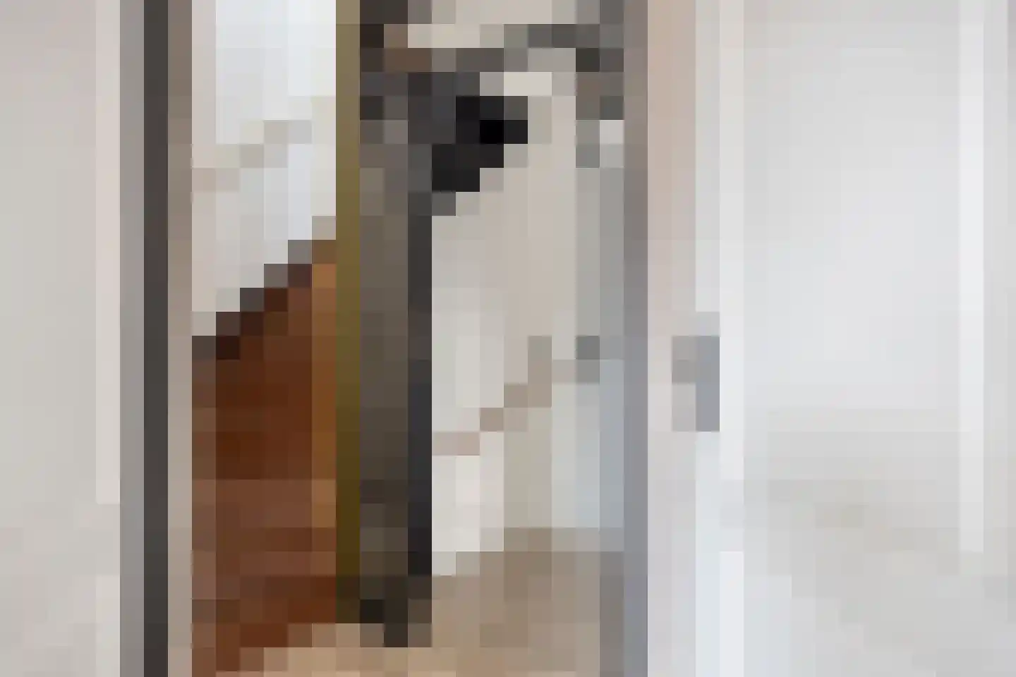 Leeuwerik 14 Venhuizen thumbnail 21