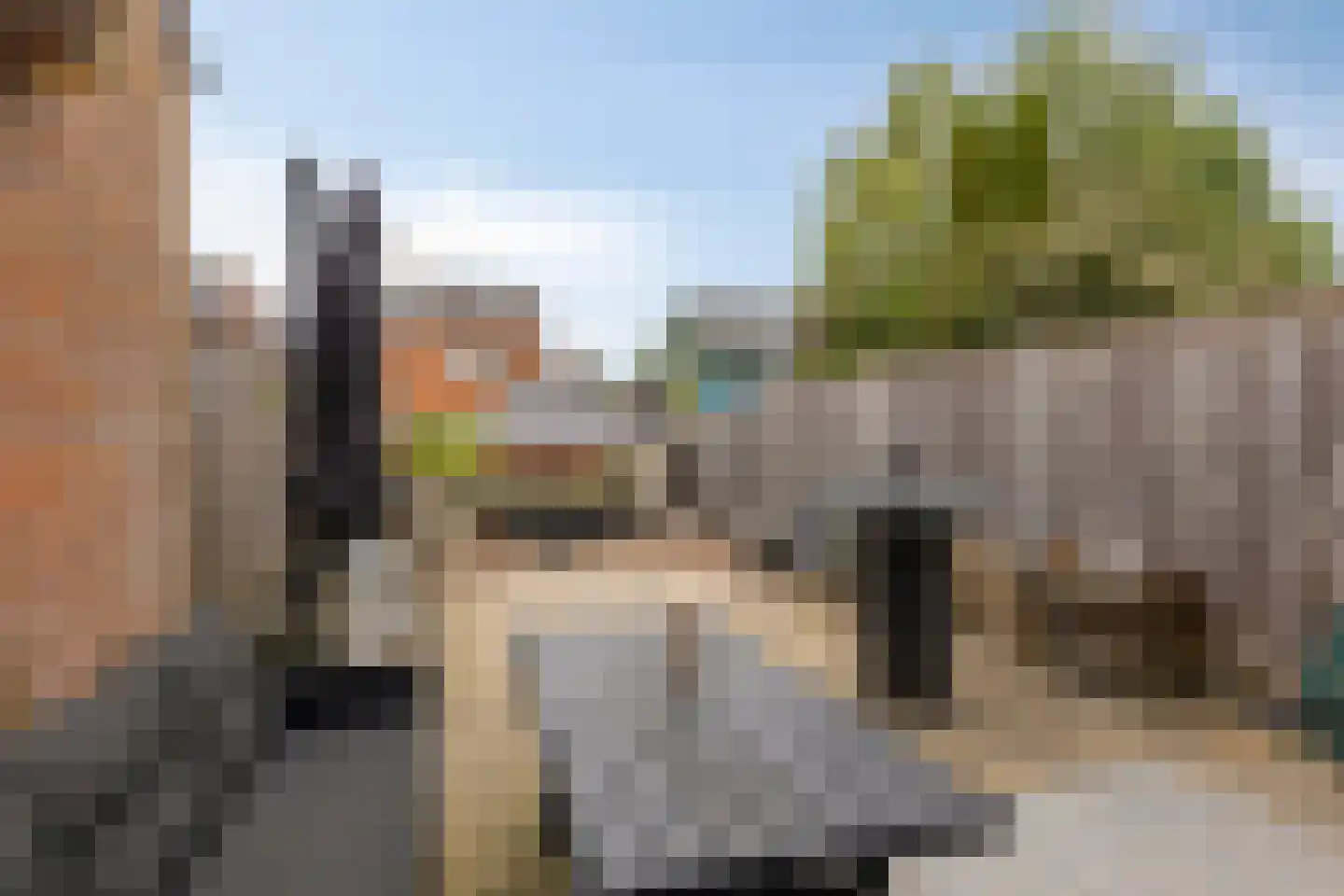 Leeuwerik 14 Venhuizen thumbnail 28