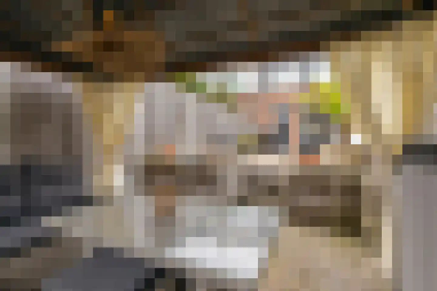 Leeuwerik 14 Venhuizen thumbnail 29