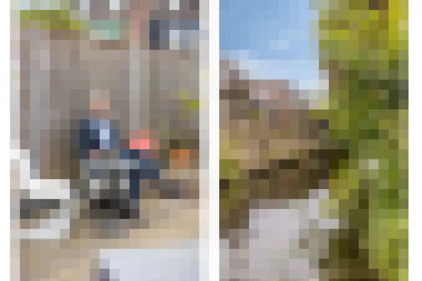 Leeuwerik 14 Venhuizen thumbnail 30