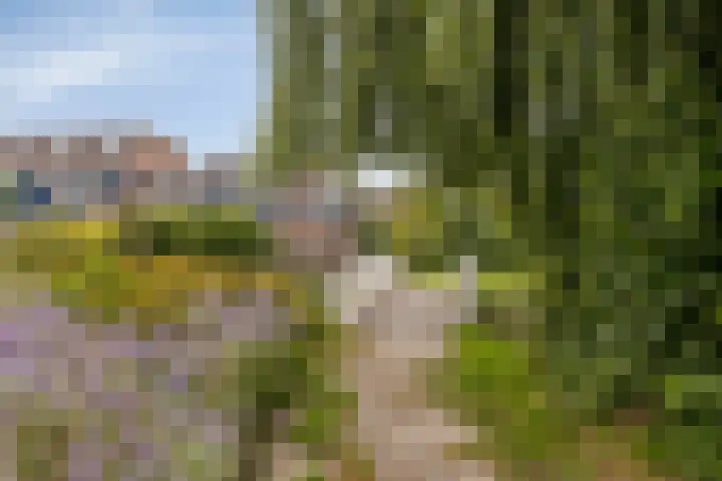 Leeuwerik 14 Venhuizen thumbnail 34