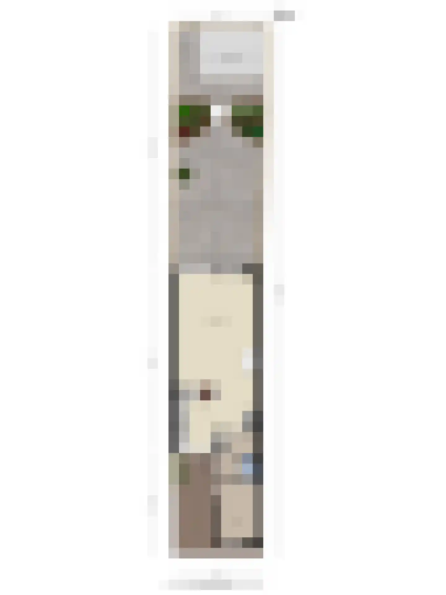 Leeuwerik 14 Venhuizen thumbnail 43