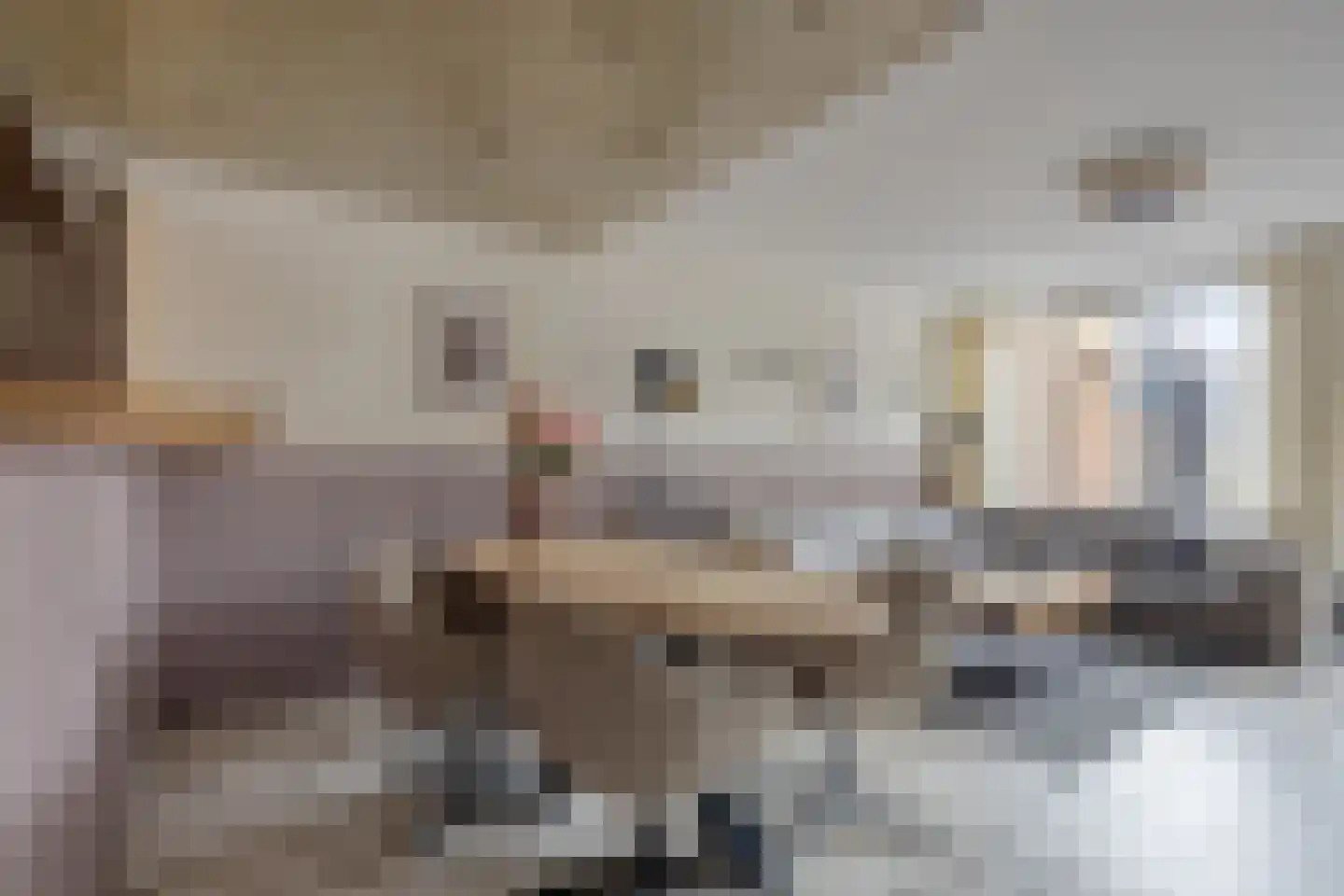 Leeuwerik 14 Venhuizen thumbnail 8