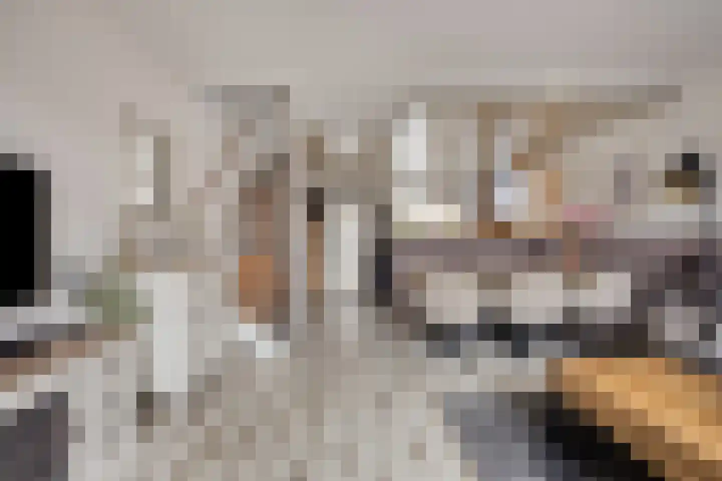 Leeuwerik 14 Venhuizen thumbnail 9