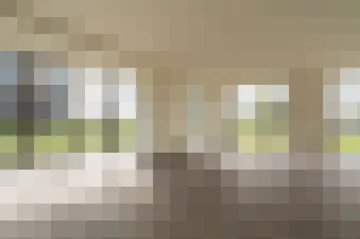Leeuwerik 15 Blauwestad thumbnail 12