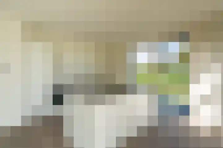 Leeuwerik 15 Blauwestad thumbnail 22
