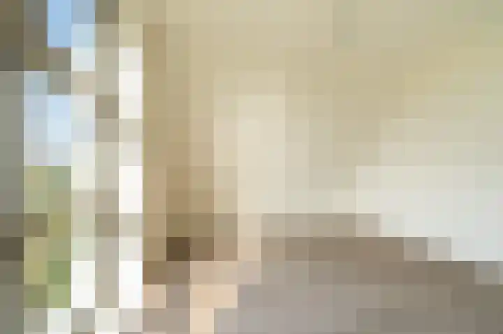 Leeuwerik 15 Blauwestad thumbnail 31