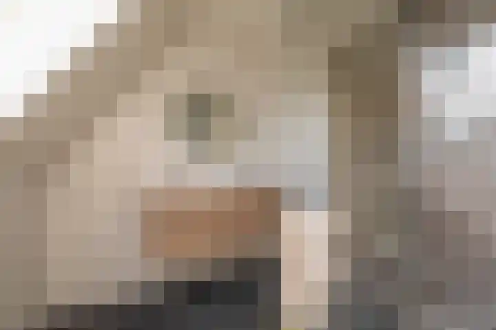Leeuwerik 15 Blauwestad thumbnail 36