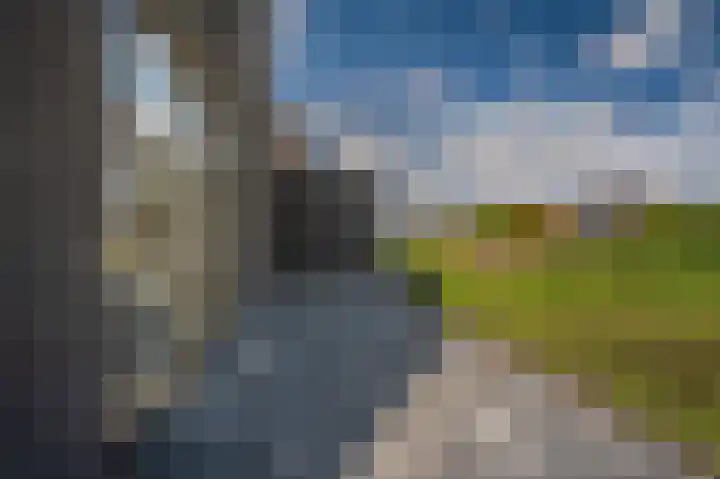 Leeuwerik 15 Blauwestad thumbnail 46