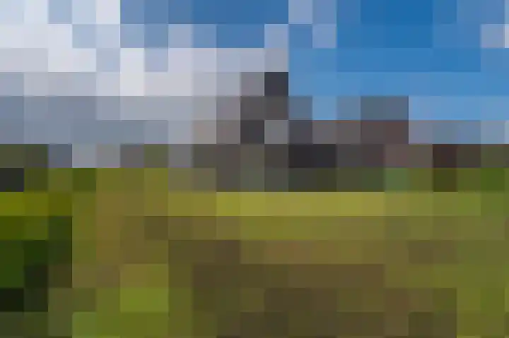 Leeuwerik 15 Blauwestad thumbnail 48