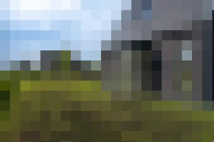 Leeuwerik 15 Blauwestad thumbnail 49