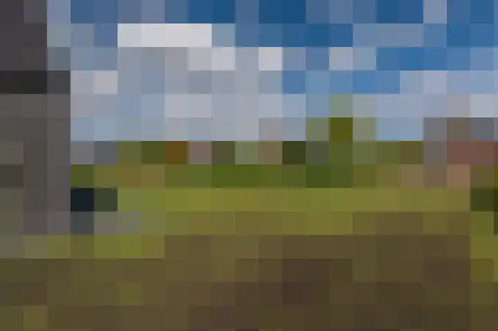 Leeuwerik 15 Blauwestad thumbnail 50