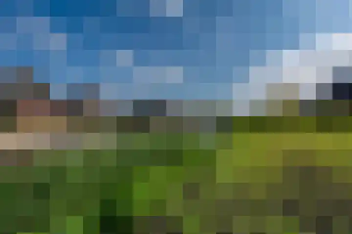 Leeuwerik 15 Blauwestad thumbnail 52