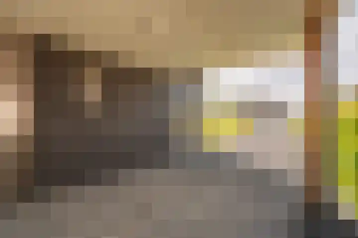 Leeuwerik 15 Blauwestad thumbnail 7