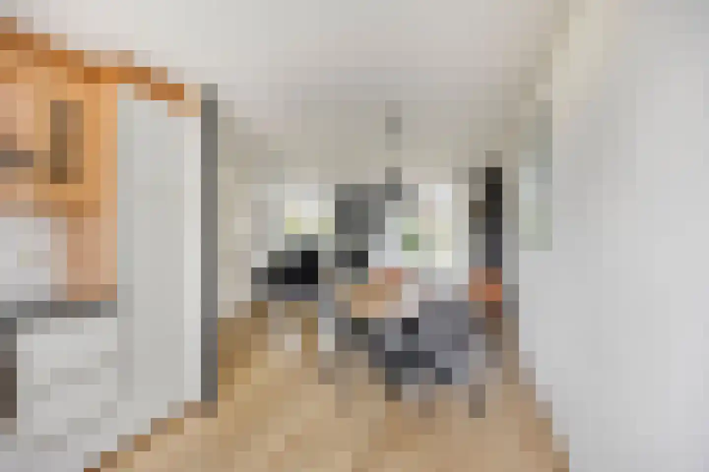Leeuwerik 16 Obdam thumbnail 12