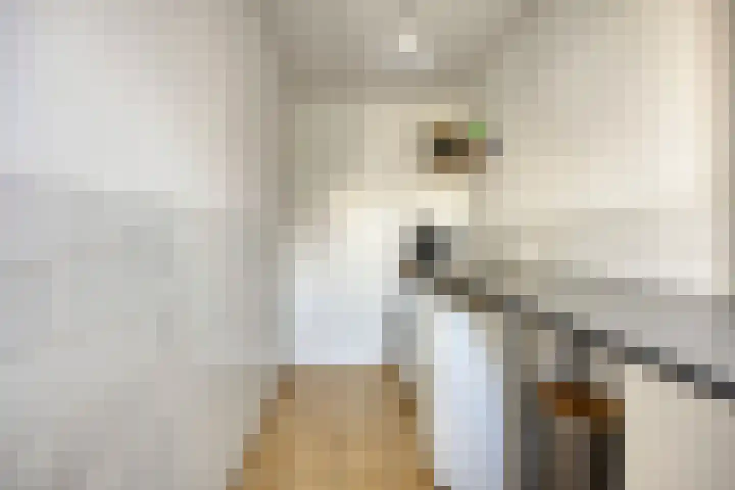Leeuwerik 16 Obdam thumbnail 15