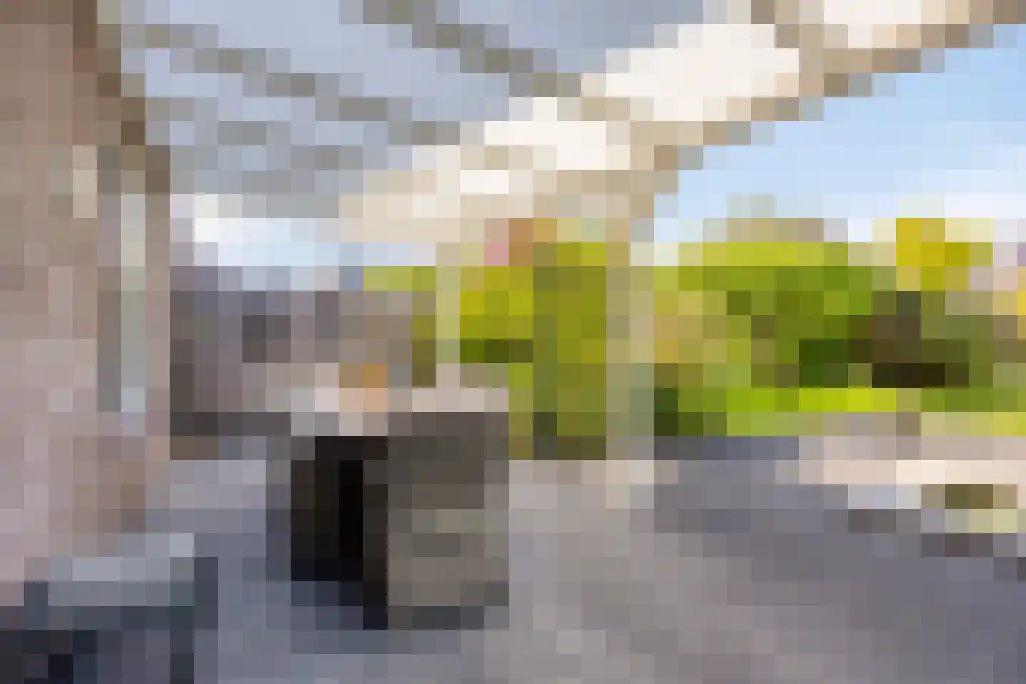 Leeuwerik 16 Obdam thumbnail 22