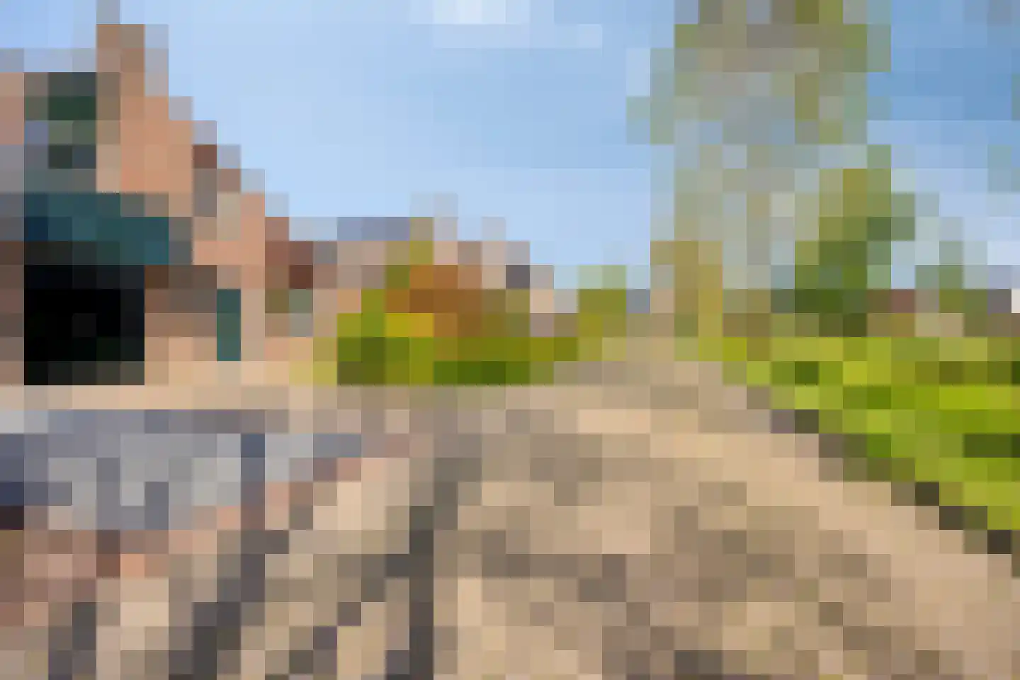 Leeuwerik 16 Obdam thumbnail 26