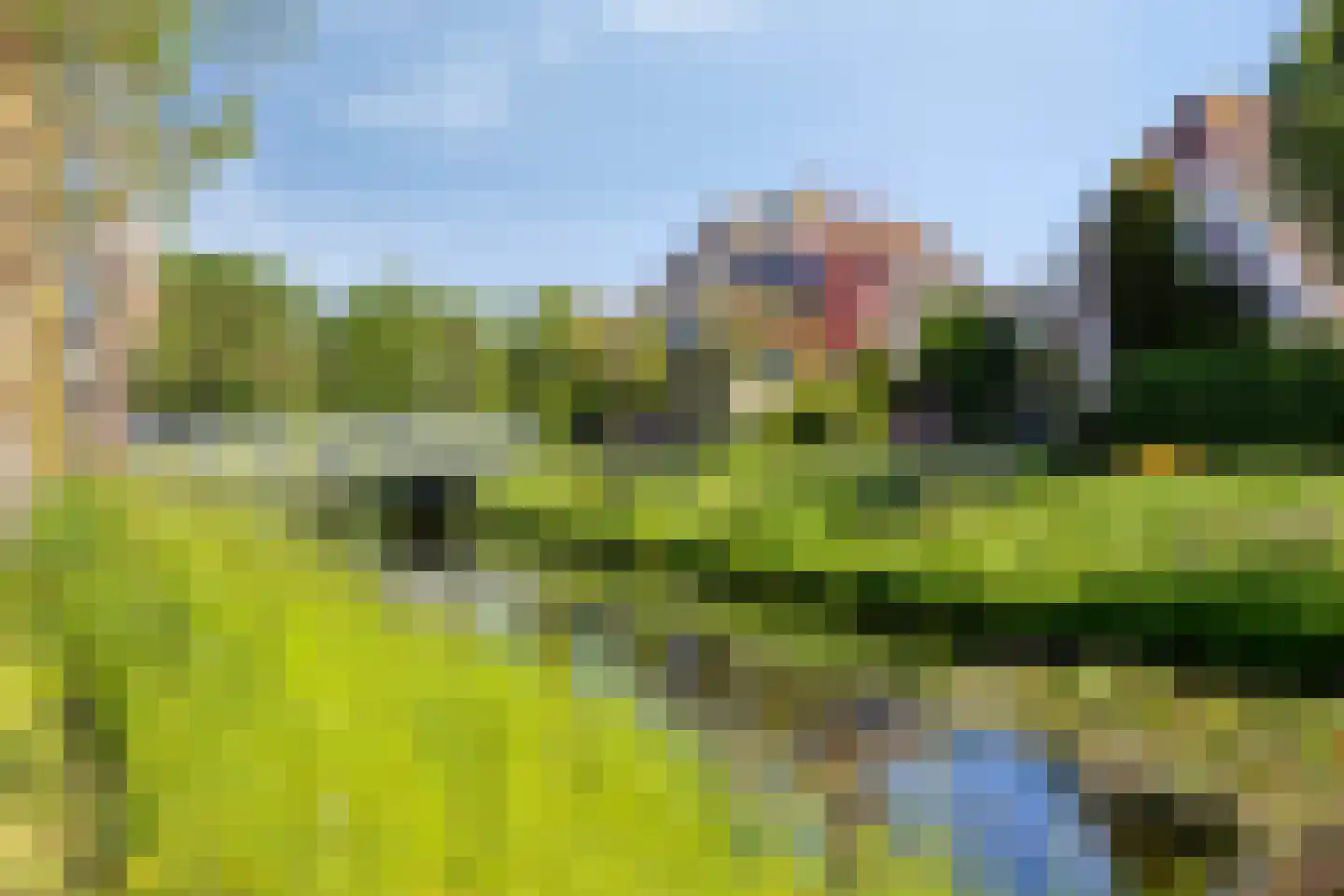 Leeuwerik 16 Obdam thumbnail 28