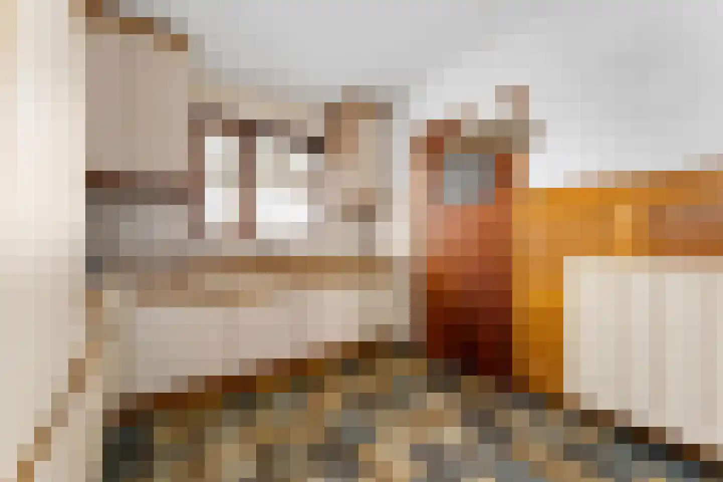 Leeuwerik 16 Sittard thumbnail 10