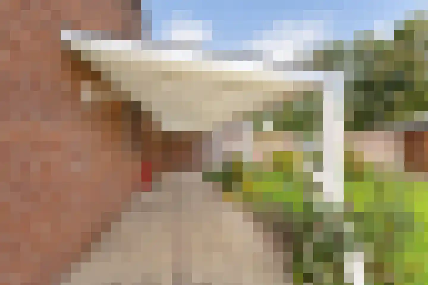 Leeuwerik 16 Sittard thumbnail 13
