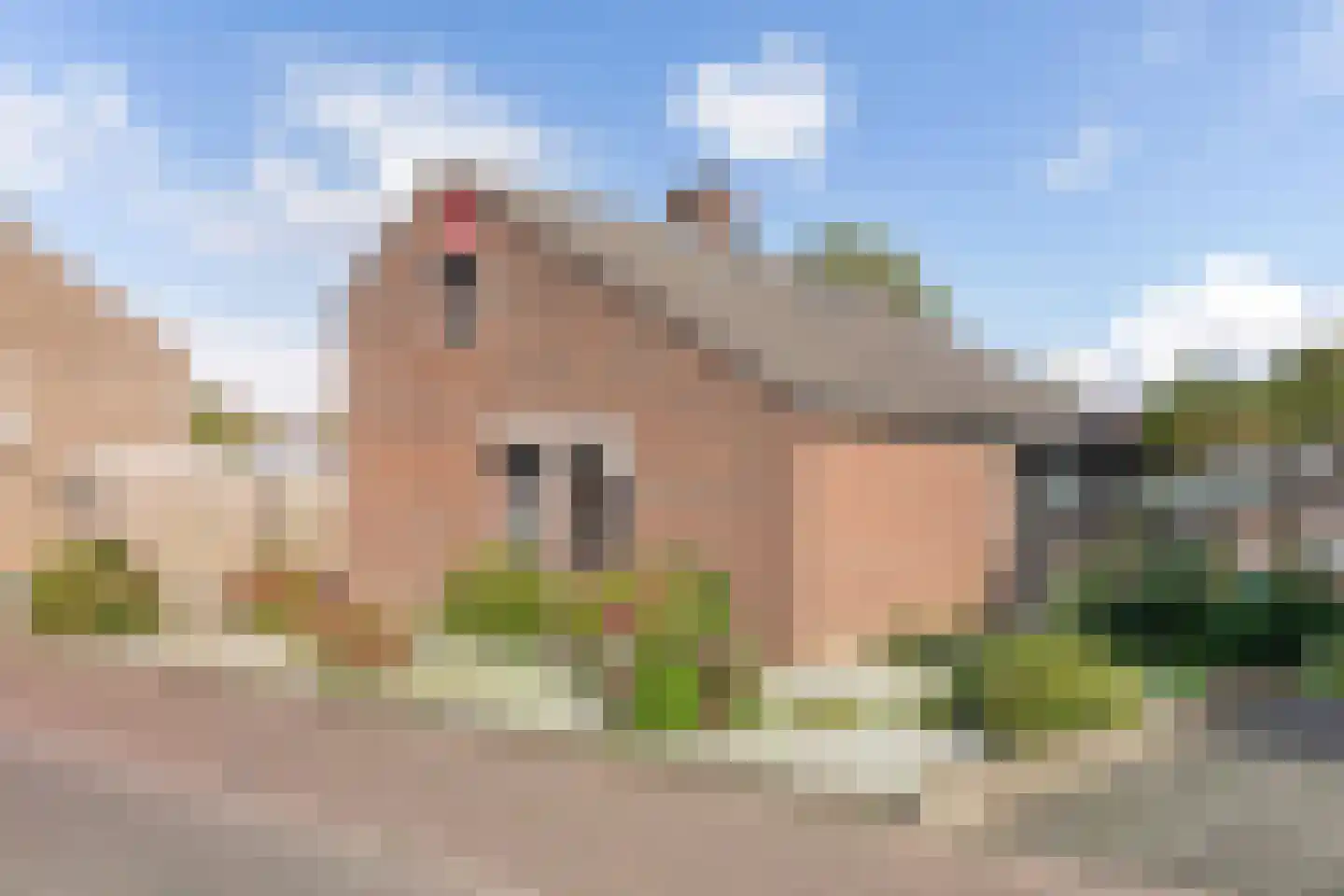 Leeuwerik 16 Sittard foto 3