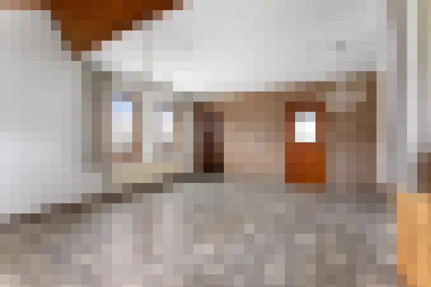 Leeuwerik 16 Sittard thumbnail 7