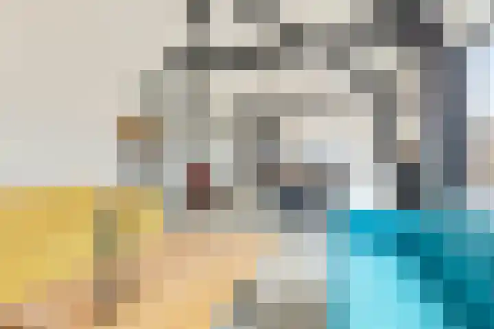 Leeuwerik 19 Blauwestad thumbnail 12