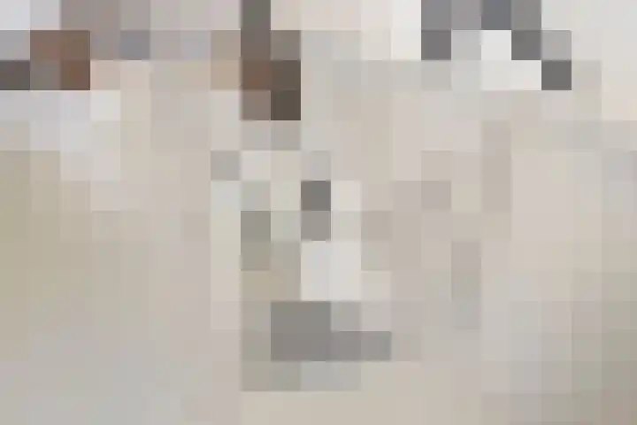 Leeuwerik 19 Blauwestad thumbnail 16