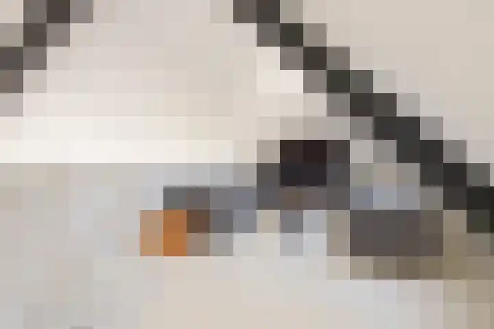 Leeuwerik 19 Blauwestad thumbnail 17