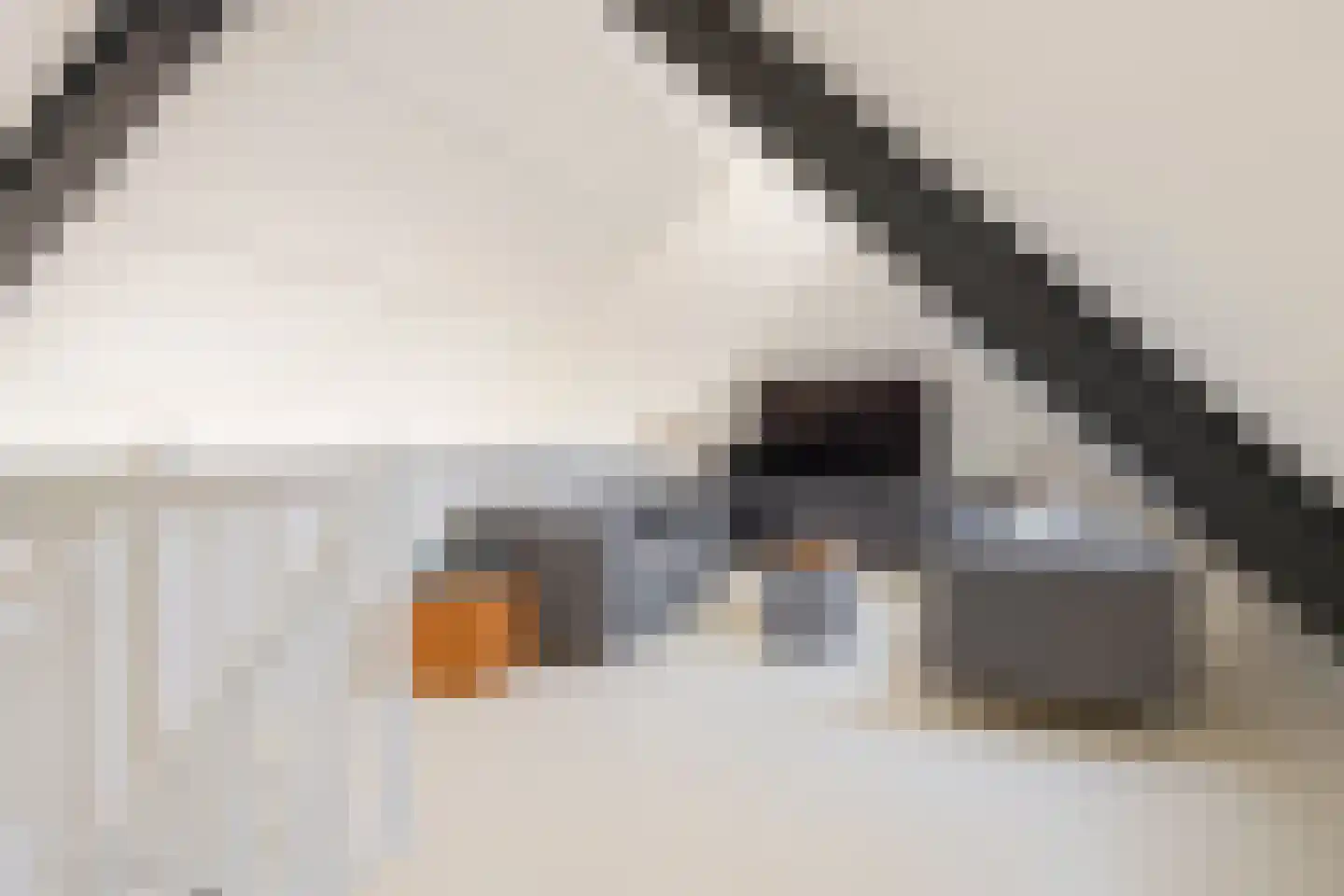 Leeuwerik 19 Blauwestad thumbnail 17