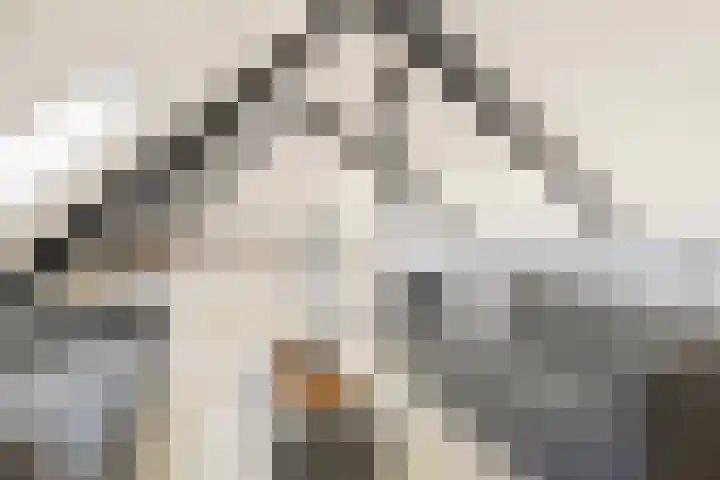 Leeuwerik 19 Blauwestad thumbnail 18