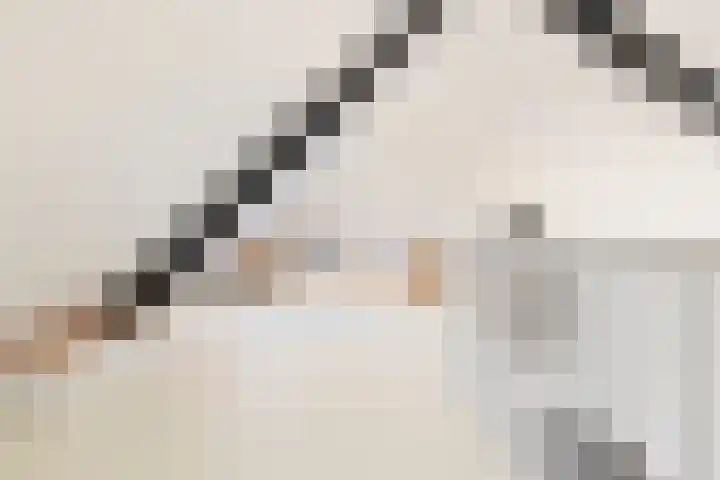 Leeuwerik 19 Blauwestad thumbnail 19