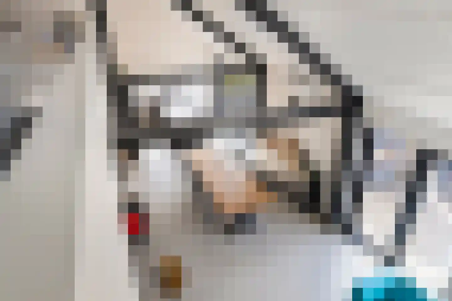 Leeuwerik 19 Blauwestad thumbnail 23