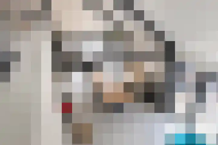 Leeuwerik 19 Blauwestad thumbnail 23