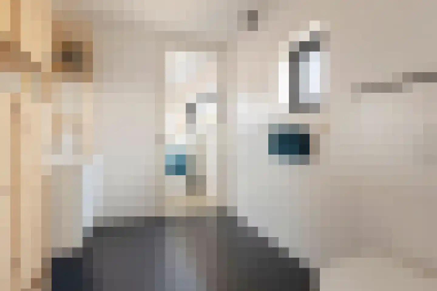 Leeuwerik 19 Blauwestad thumbnail 27